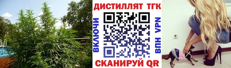 Дистиллят ТГК концентрат  Купить  Саянск 