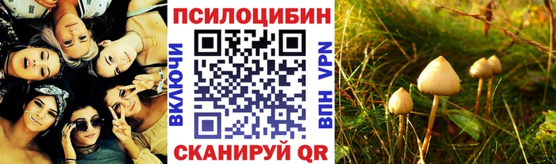 Псилоцибиновые грибы мицелий  Купить закладки  Саянск 